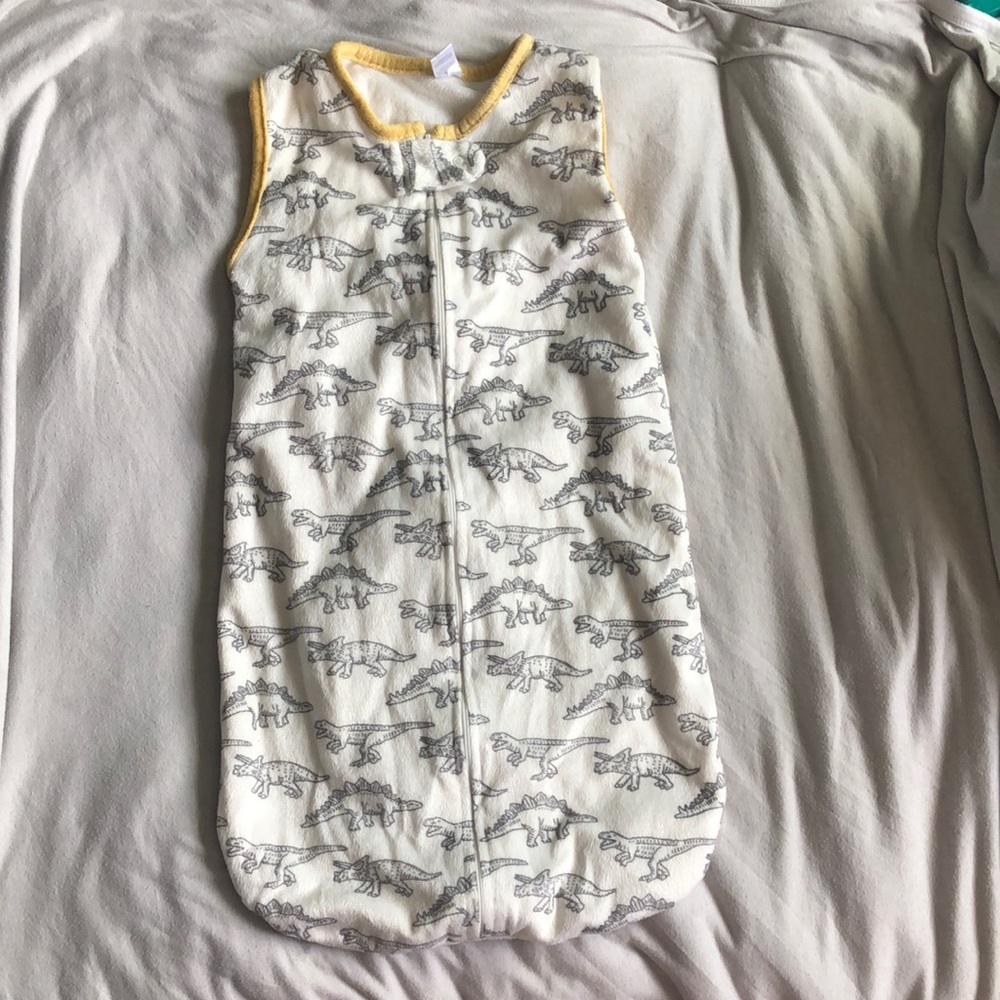 Dinosaur Modern Baby sleep sack